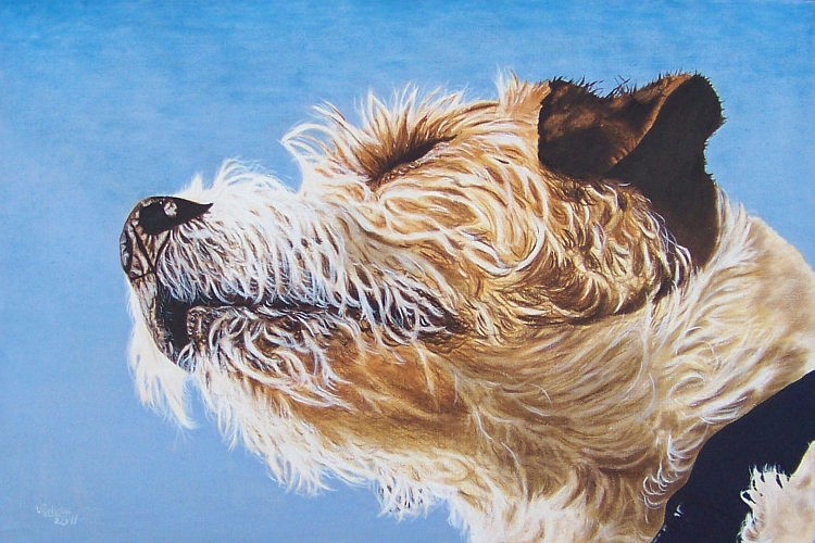 Portrait Terrier